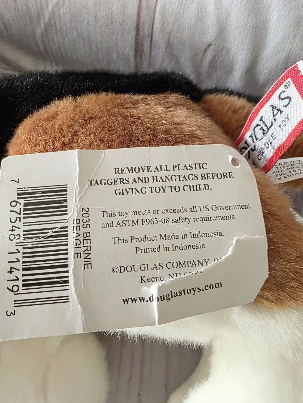 Douglas bernie beagle